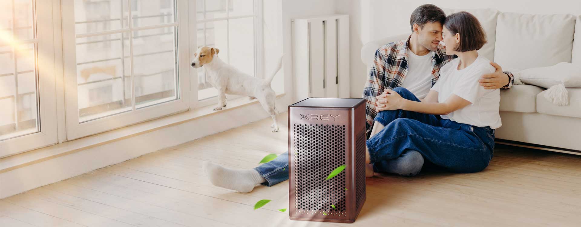 WHOLE HOUSE AIR PURIFIER WHOLE HOUSE AIR PURIFIER