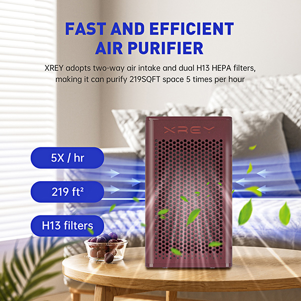 Large Room Wooden Air Purifier With Filter (Mahogany Finish) XR500-M