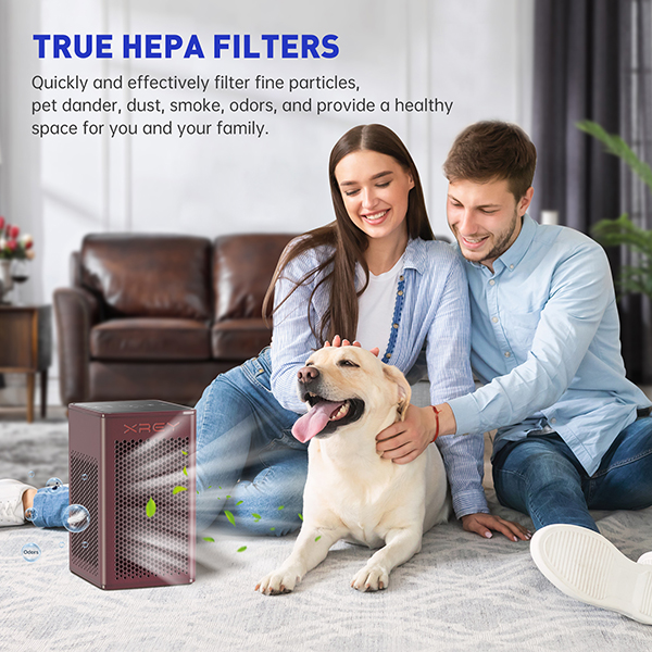 Large Room Wooden Air Purifier With Filter (Mahogany Finish) XR500-M Large Room Wooden Air Purifier With Filter (Mahogany Finish) XR500-M