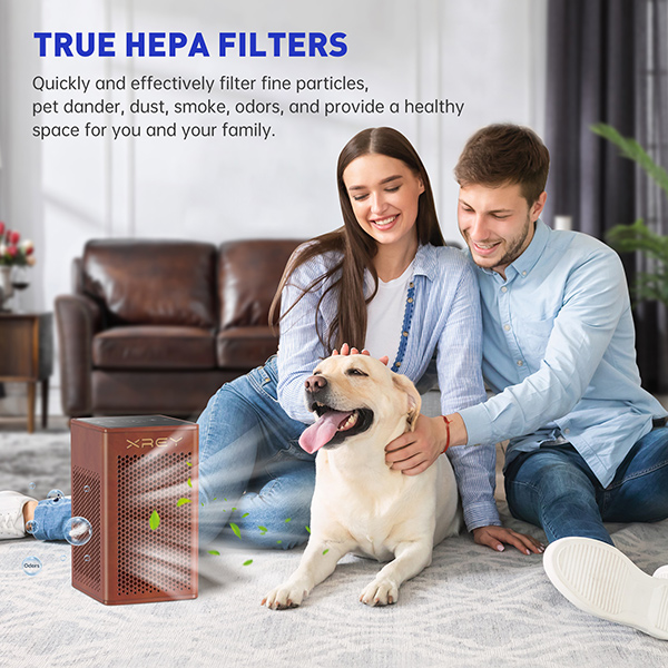 Household Wooden Air Purifier (Walnut Finish) XR500-W Household Wooden Air Purifier (Walnut Finish) XR500-W