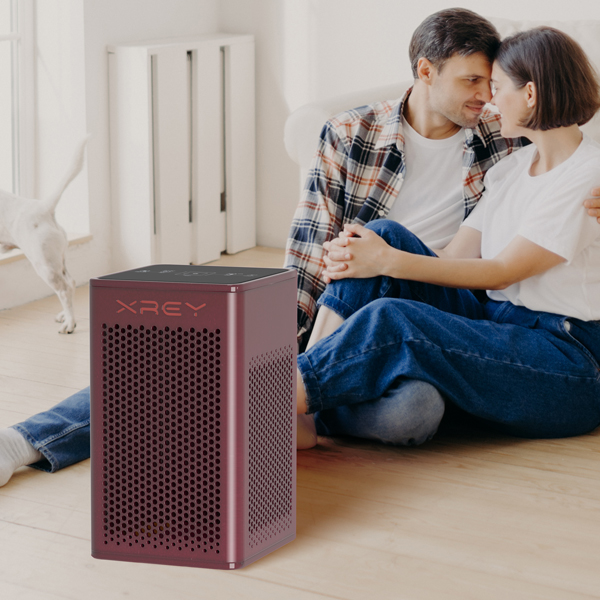 Indoor Whole House Wooden HEPA Air Purifier with Aromatherapy (Mahogany Finish) XR500-M-Aroma