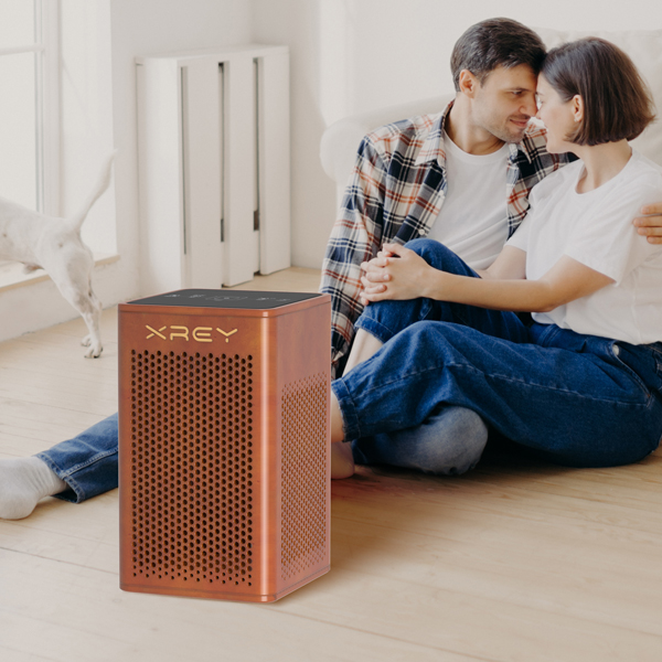 House Wooden H13 HEPA Air Purifier with Aromatherapy (Walnut Finish) XR500-W-Aroma House Wooden H13 HEPA Air Purifier with Aromatherapy (Walnut Finish) XR500-W-Aroma