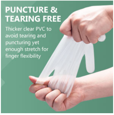 Disposable PVC Gloves,  Latex Free Powder-Free