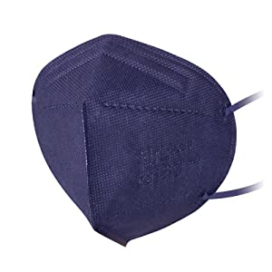 Navy Blue FFP2 Disposable Face Mask Navy Blue FFP2 Disposable Face Mask