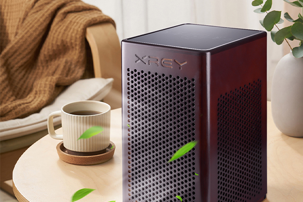 The role of air purifiers